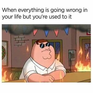 Meet your Posher, Juan